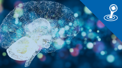 Die Bedeutung des eigenen Denkstils für eine gute Kommunikation und Zusammenarbeit